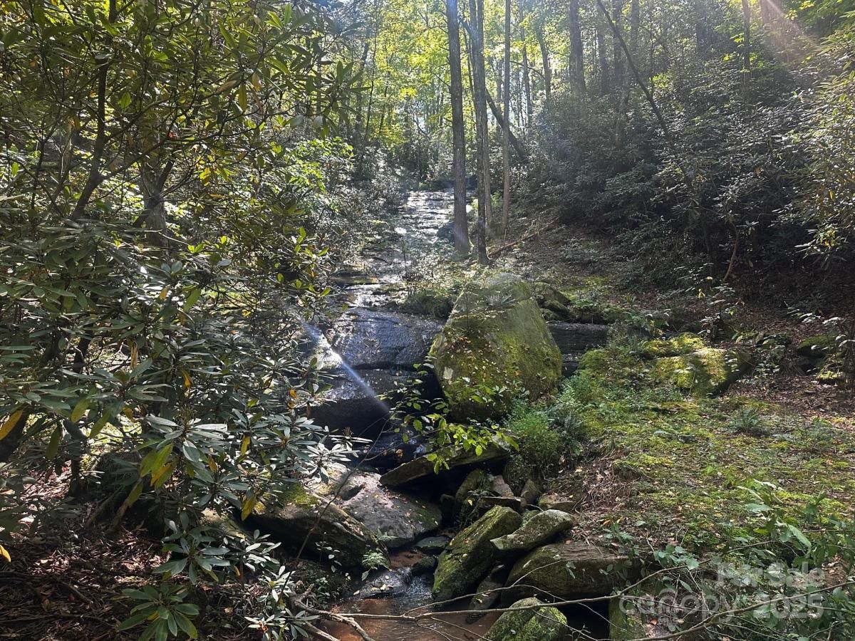 MLS #CAR4306939 image #0