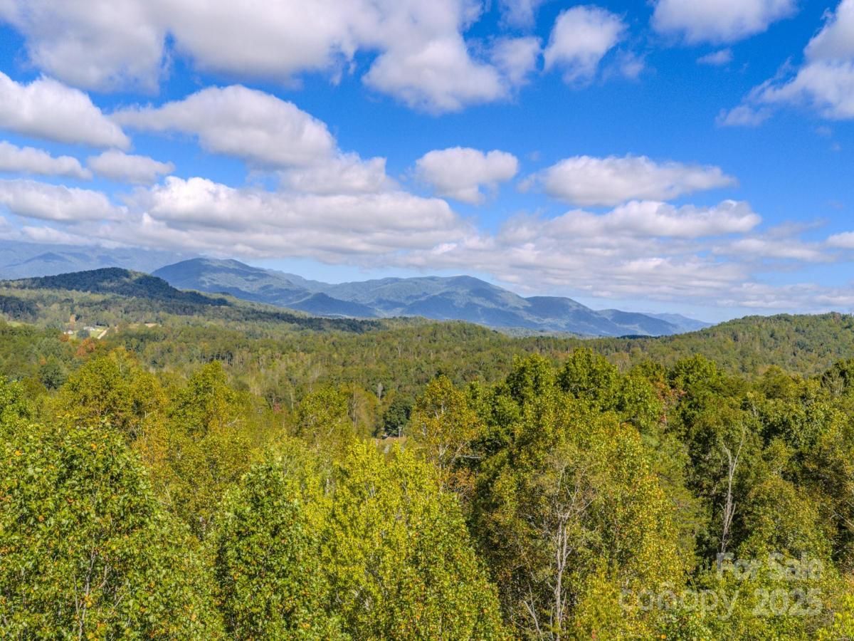 MLS #CAR4307086 image #0