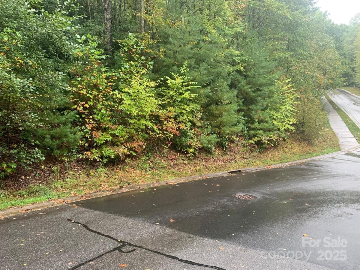 MLS #CAR4307392 image #0