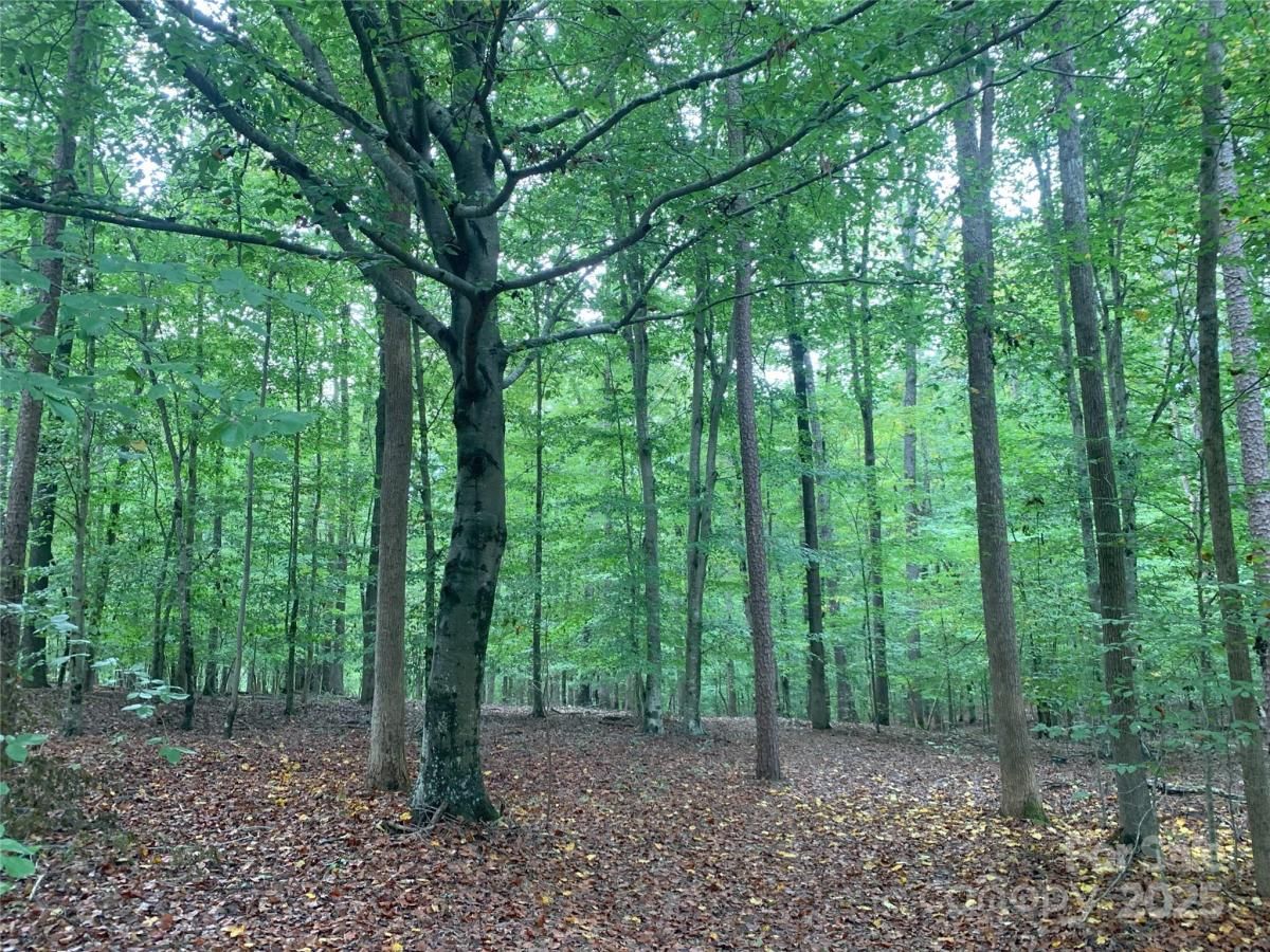 MLS #CAR4307728 image #0