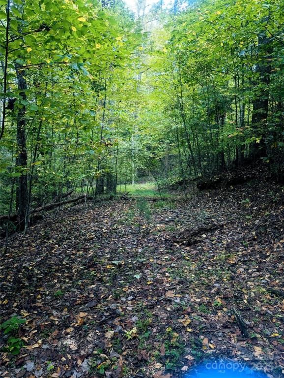 MLS #CAR4308287 image #0