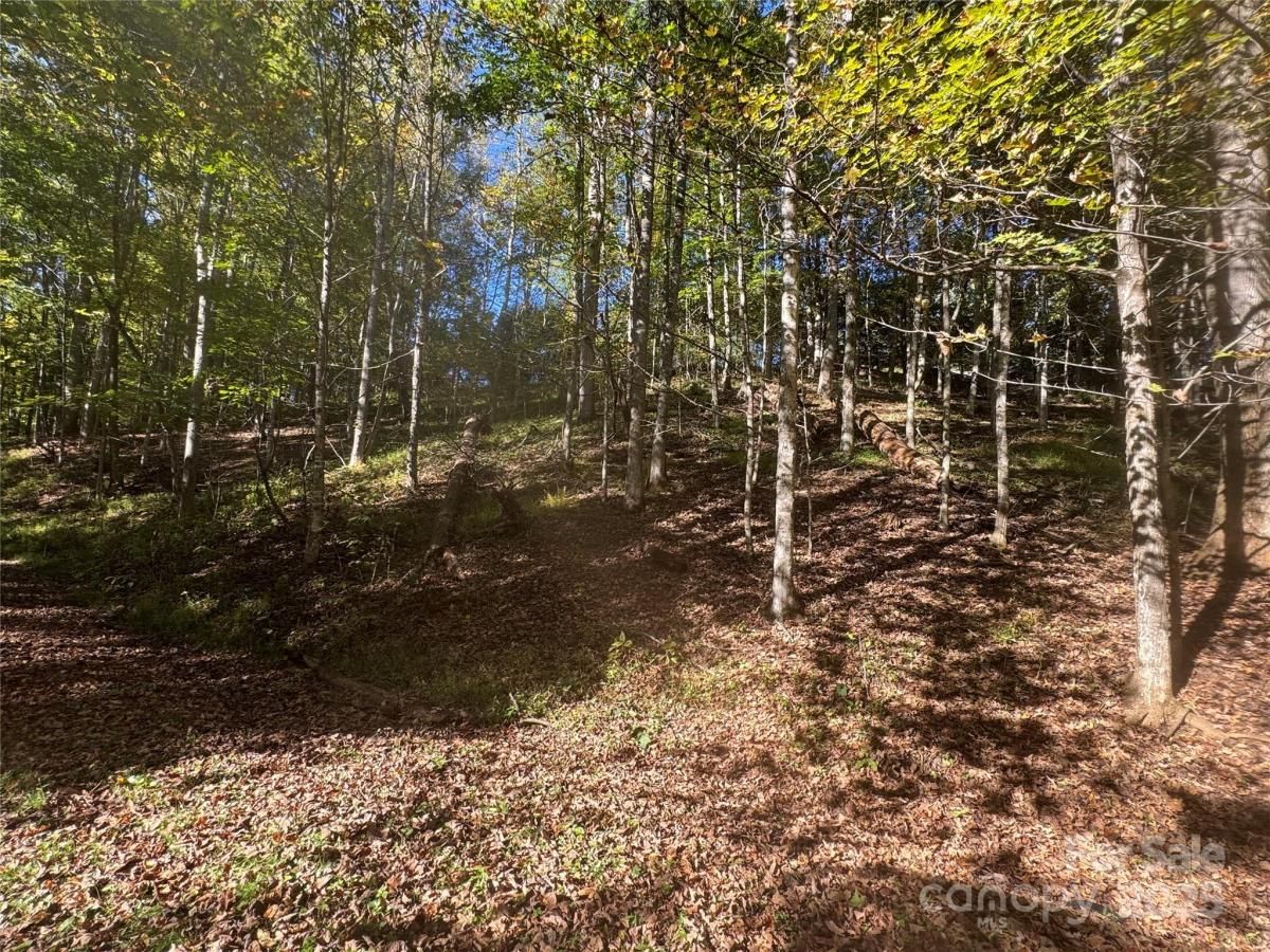 MLS #CAR4308488 image #0