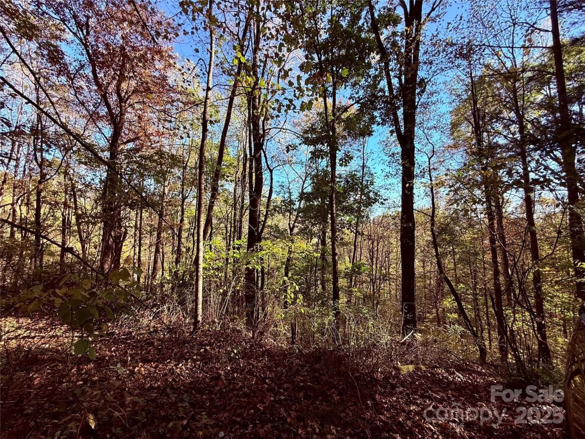 MLS #CAR4308545 image #0