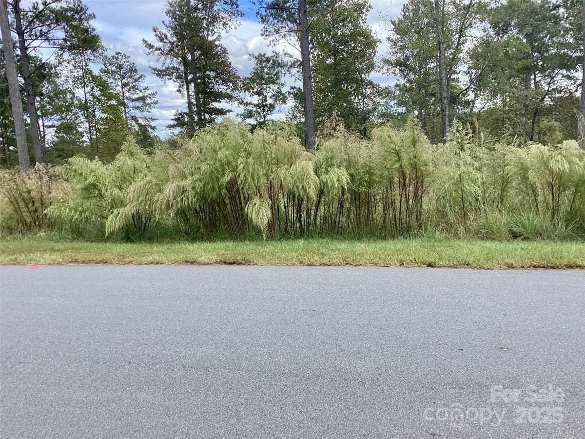 MLS #CAR4308708 image #0