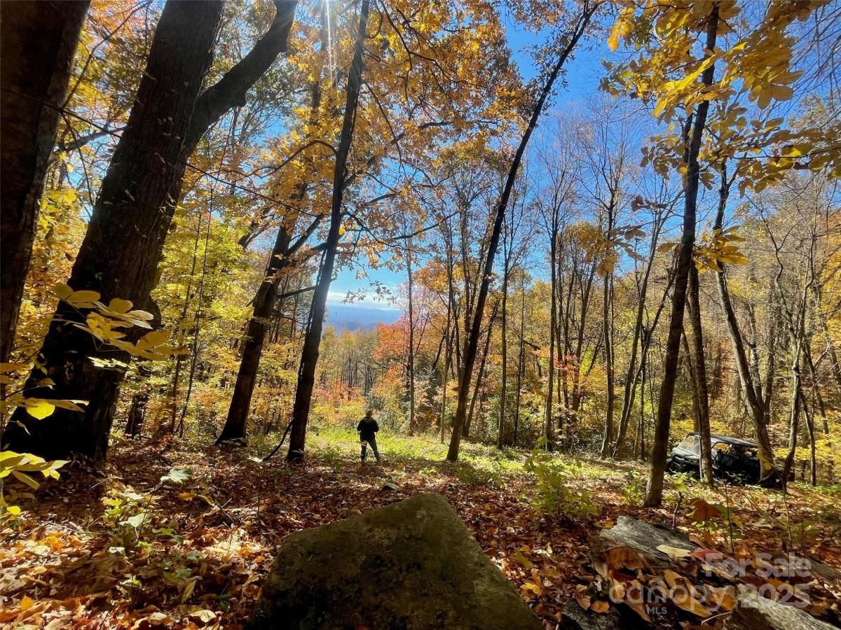 MLS #CAR4310805 image #0