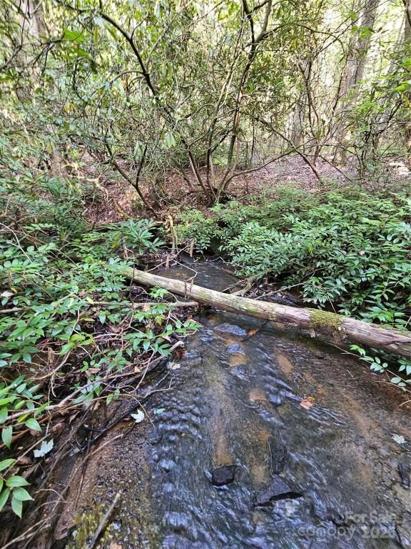 MLS #CAR4310939 image #0