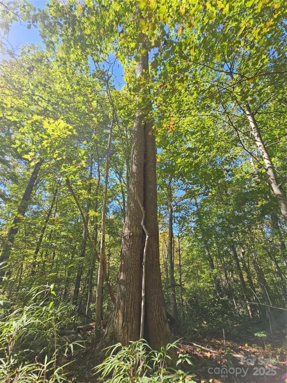 MLS #CAR4310953 image #0