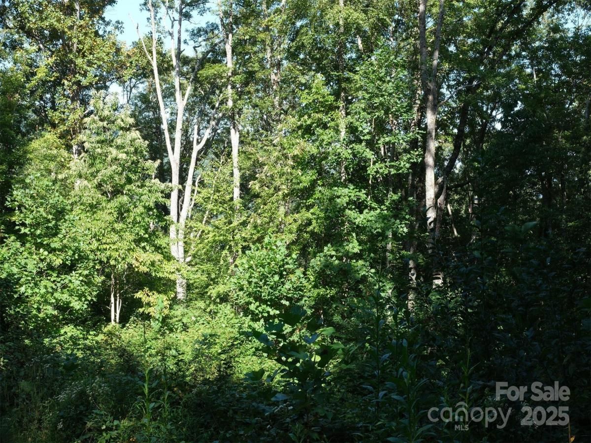 MLS #CAR4310970 image #0