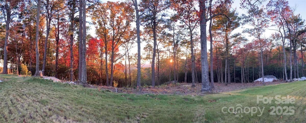 MLS #CAR4311645 image #0