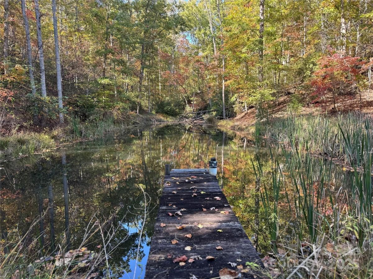 MLS #CAR4312061 image #0