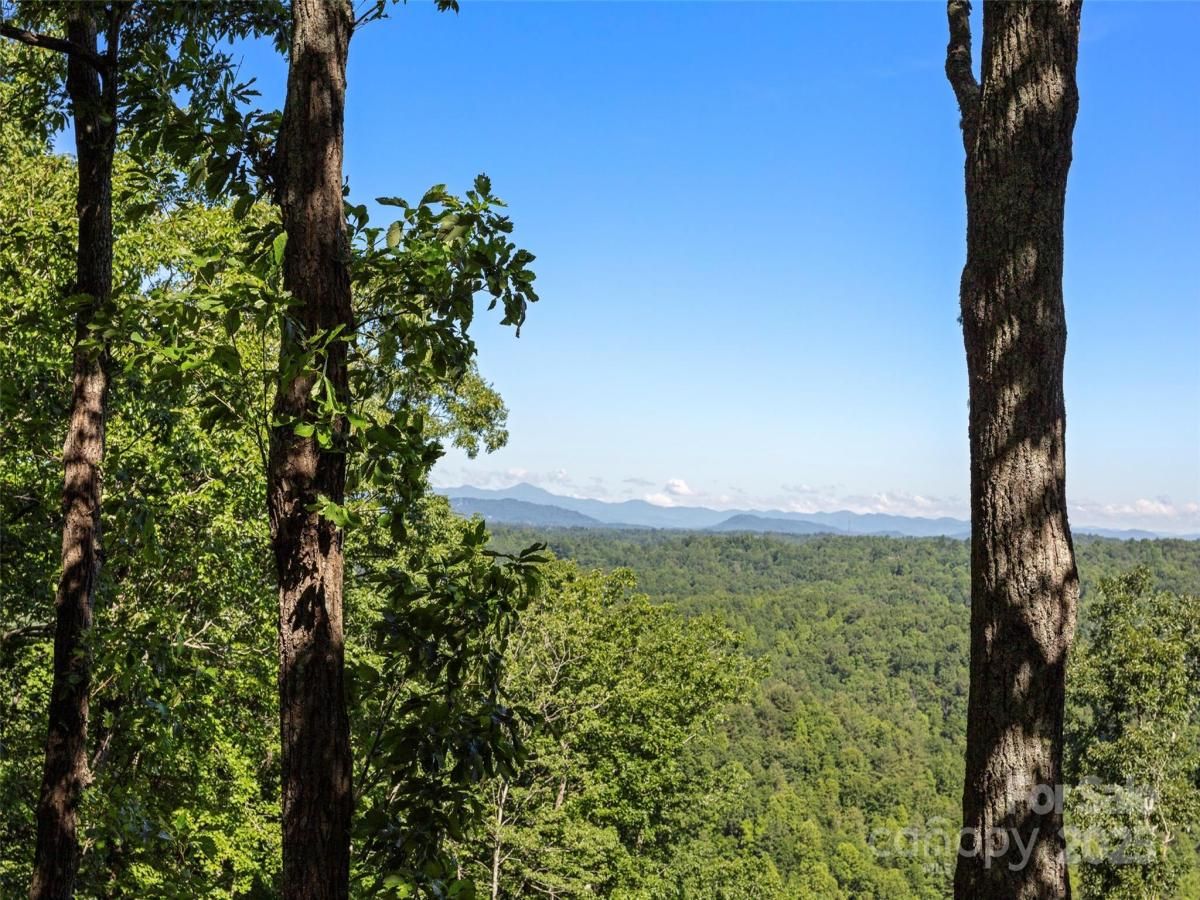 MLS #CAR4312875 image #0