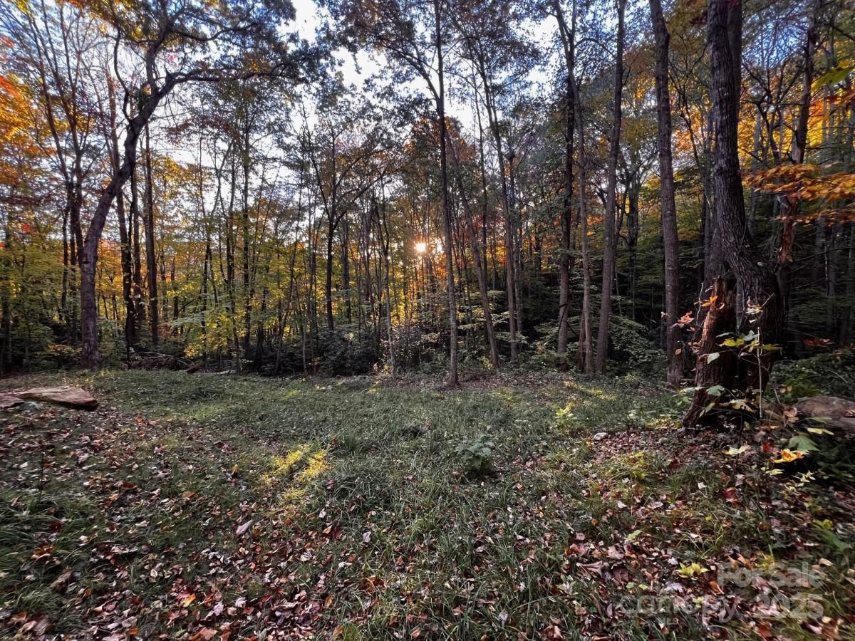 MLS #CAR4312894 image #0