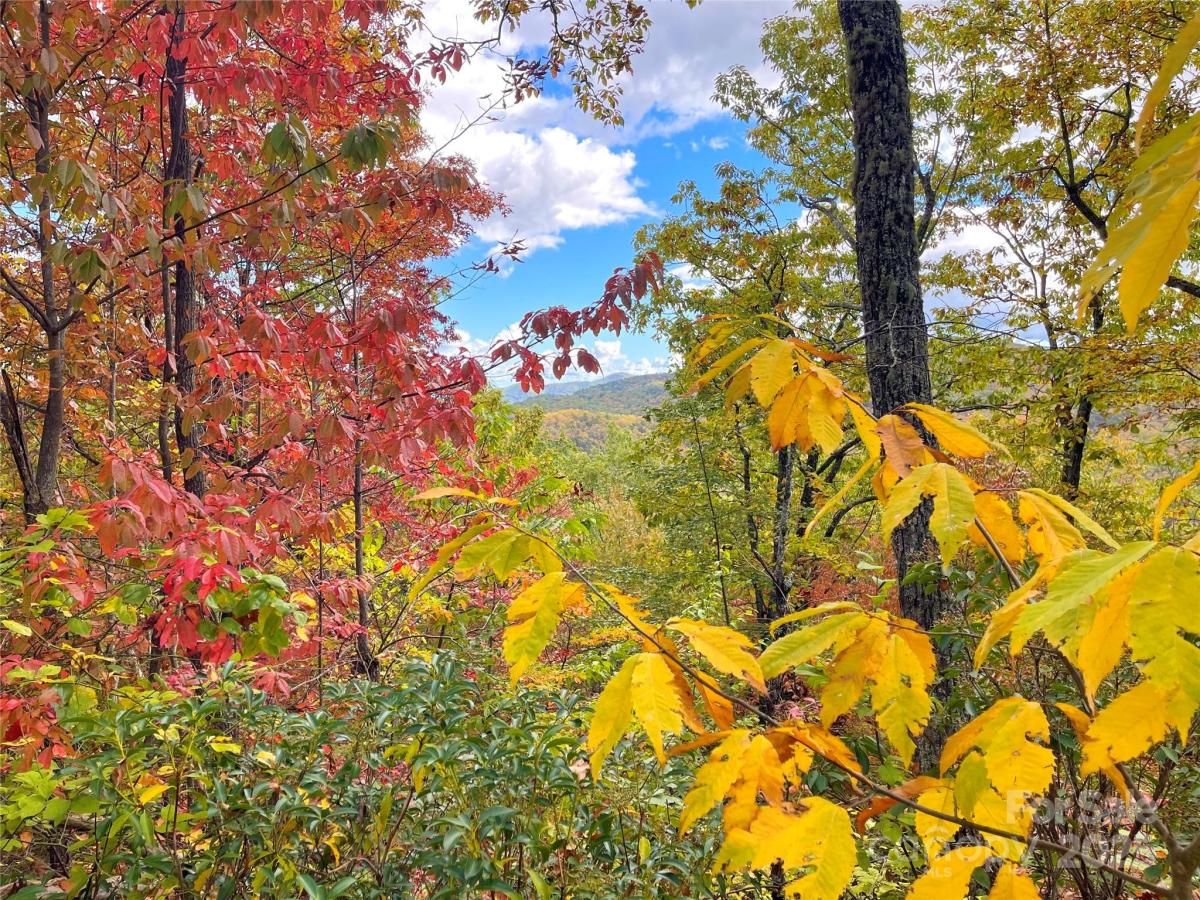 MLS #CAR4313541 image #0