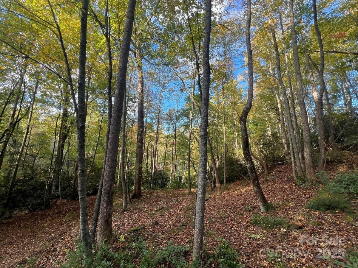 MLS #CAR4314075 image #0