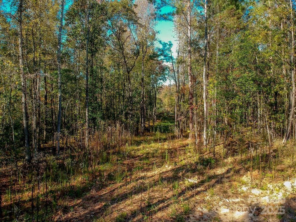 MLS #CAR4314239 image #0