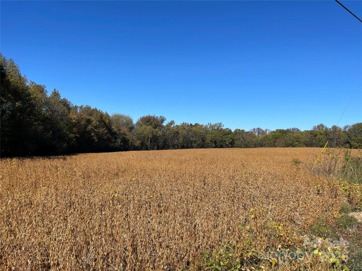 MLS #CAR4314479 image #0