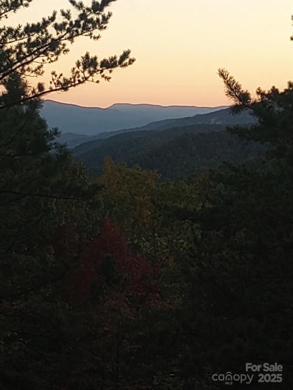 MLS #CAR4315303 image #0