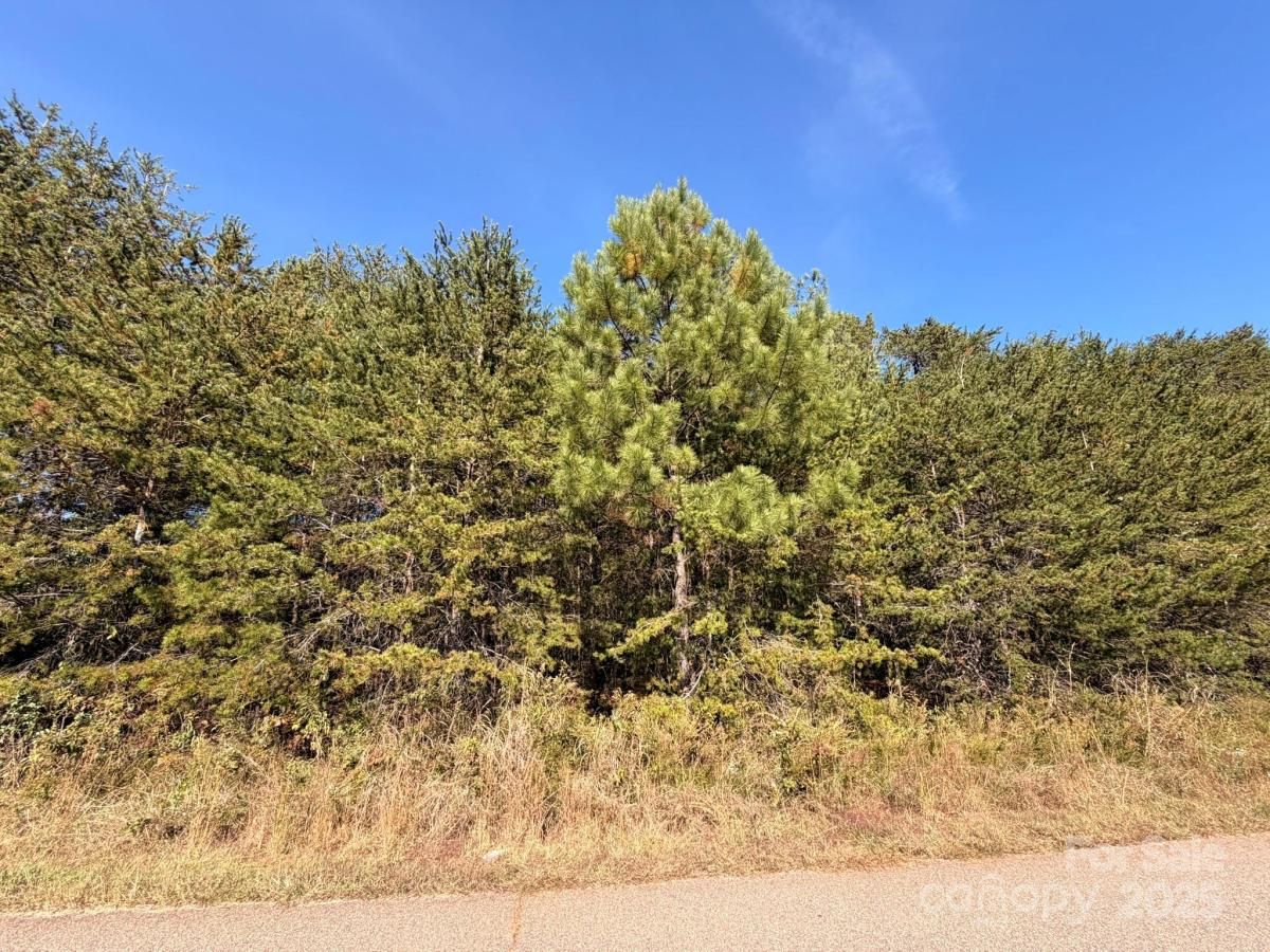 MLS #CAR4315898 image #0