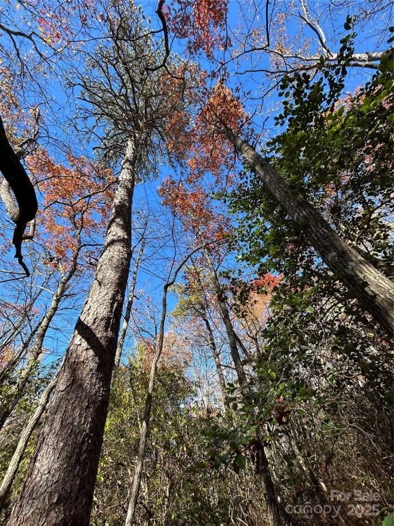 MLS #CAR4315901 image #0