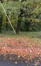 MLS #CAR4316030 image #0