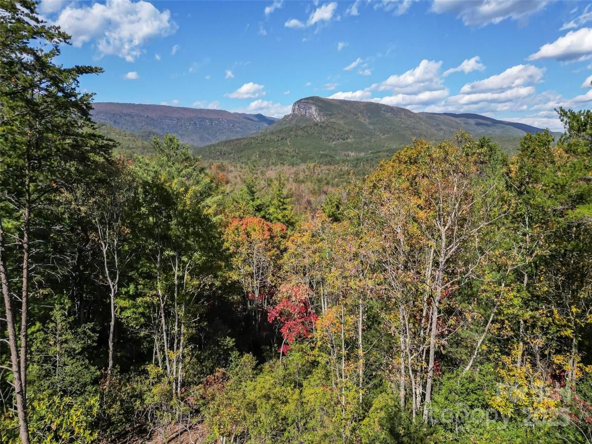 MLS #CAR4316048 image #0