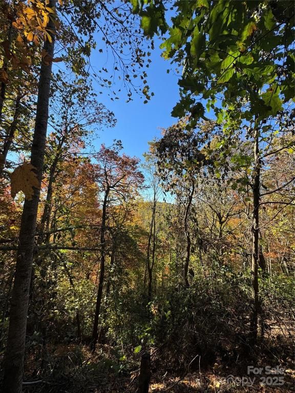 MLS #CAR4316252 image #0