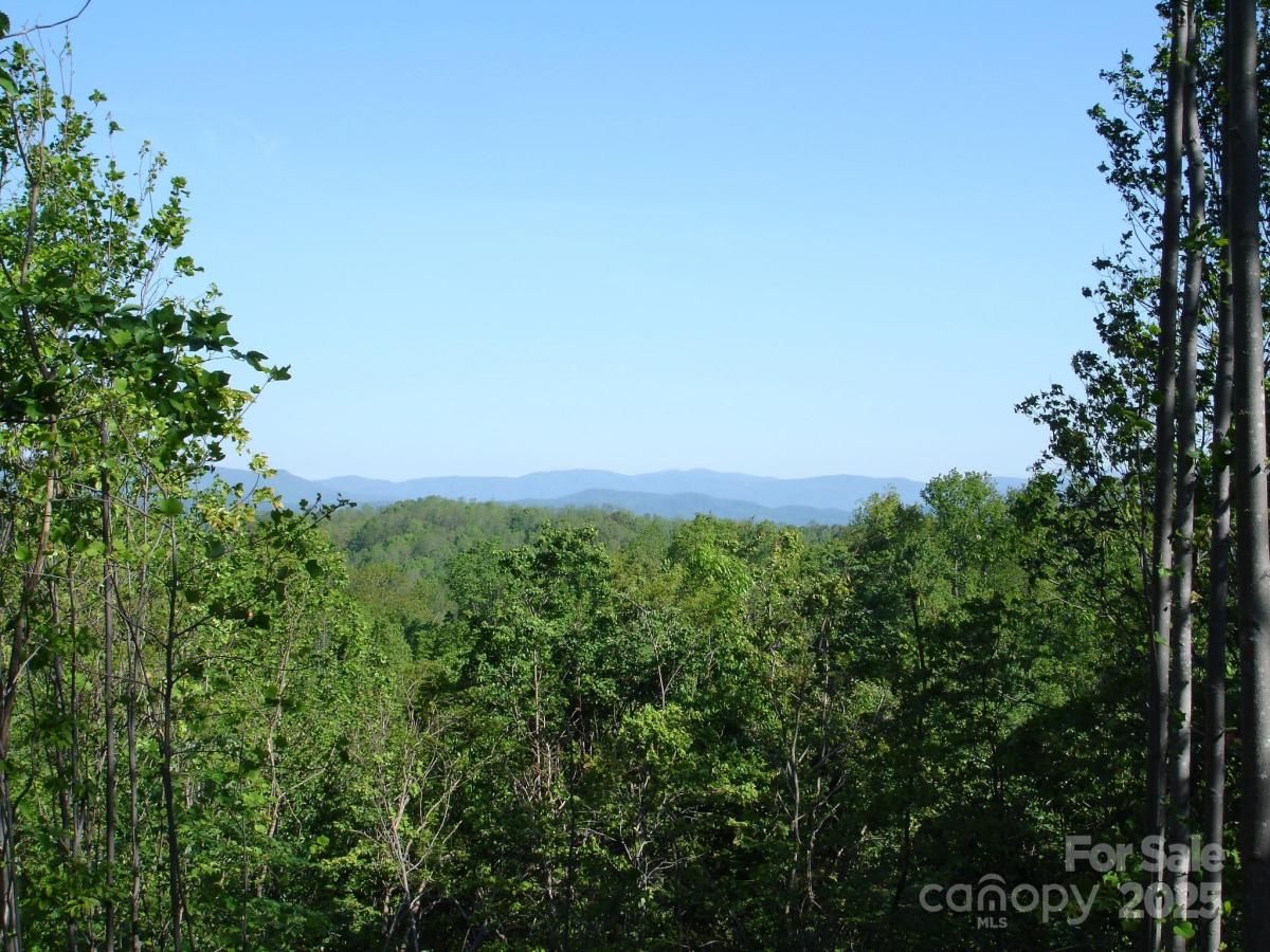 MLS #CAR4316303 image #0