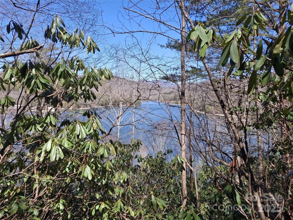 MLS #CAR4316313 image #0