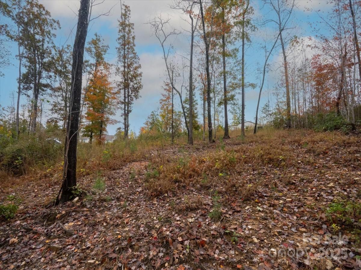 MLS #CAR4316510 image #0