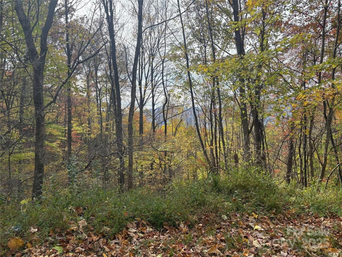 MLS #CAR4316613 image #0