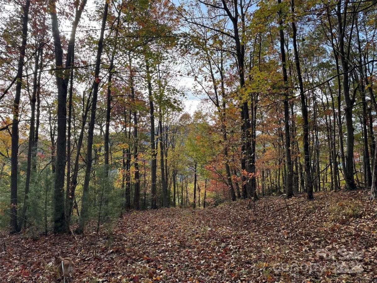 MLS #CAR4317077 image #0