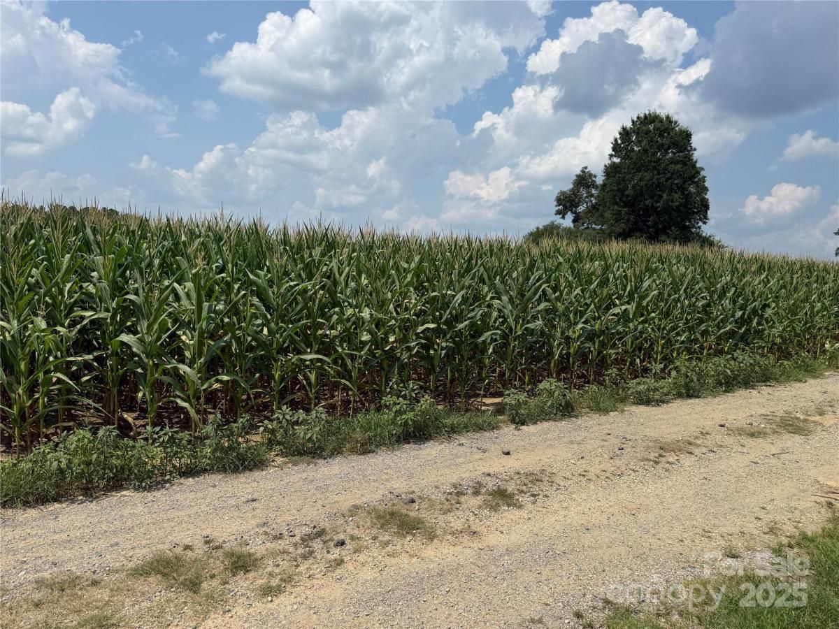 MLS #CAR4317155 image #0