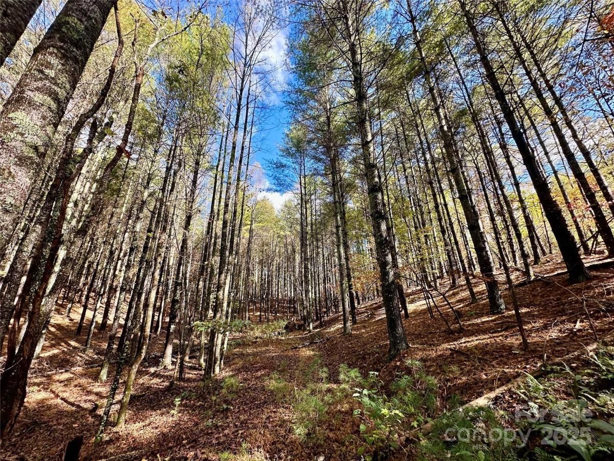 MLS #CAR4318023 image #0