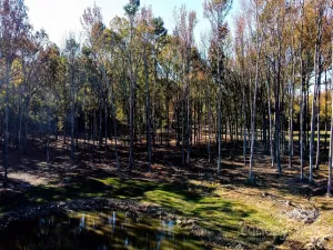 broker reciprocity
