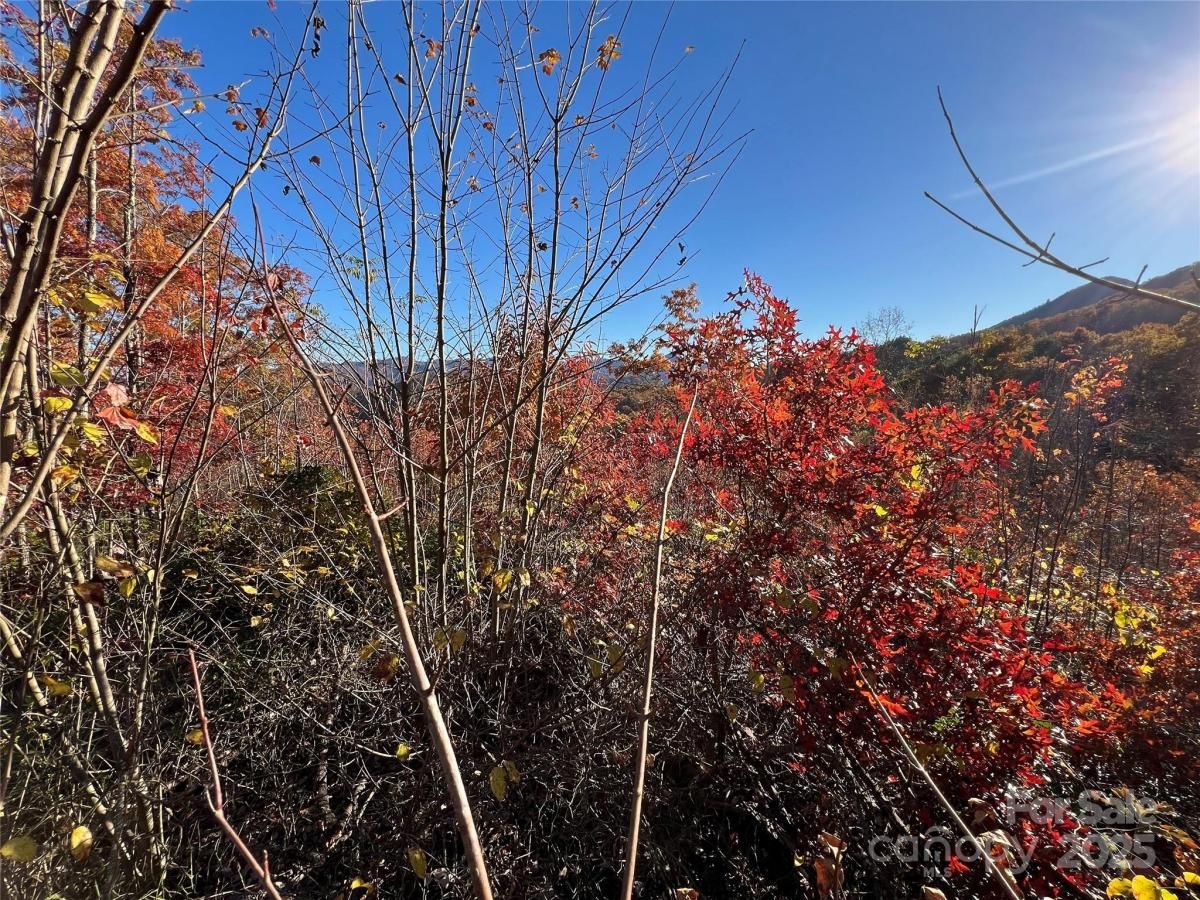 MLS #CAR4319251 image #0