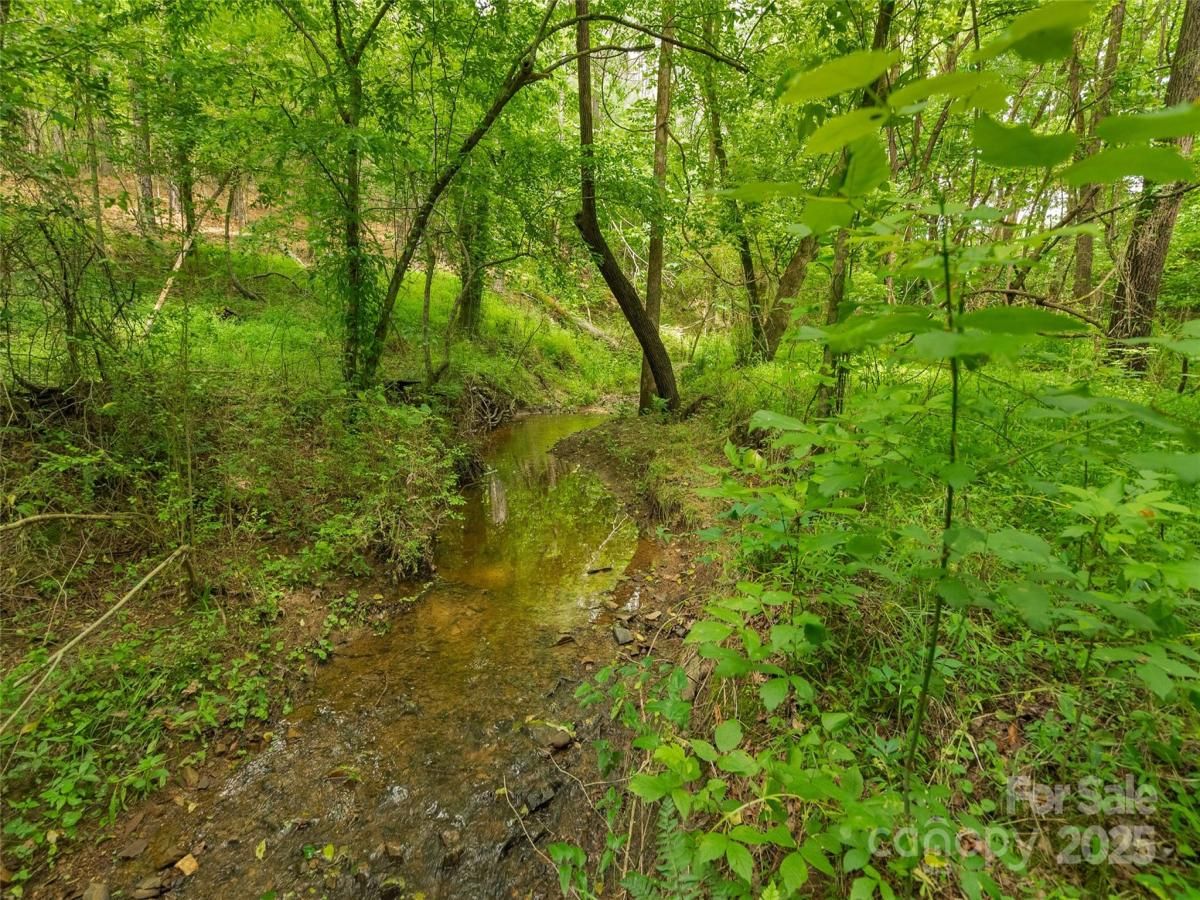 MLS #CAR4319299 image #0