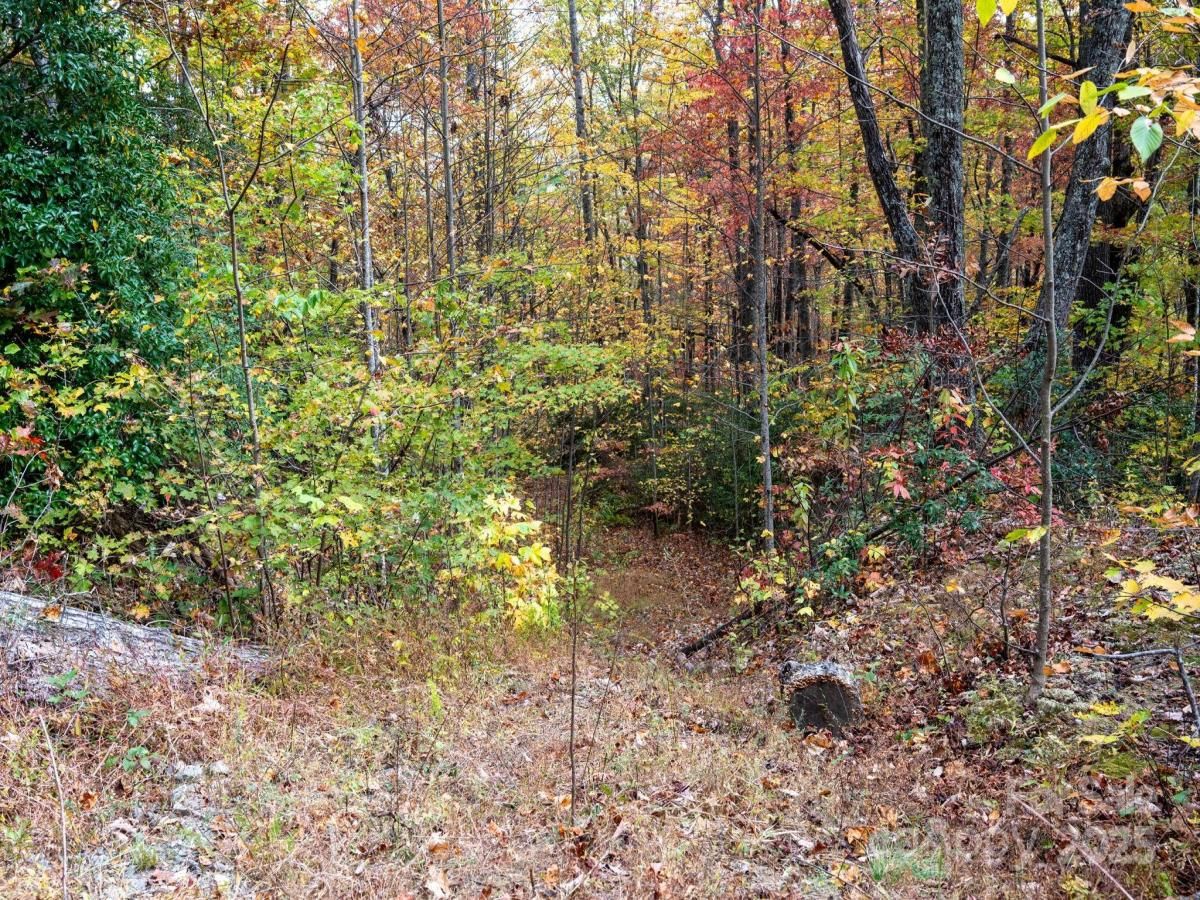 MLS #CAR4319879 image #0