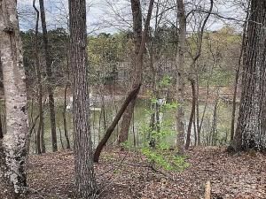 MLS #CAR4320123 image #0