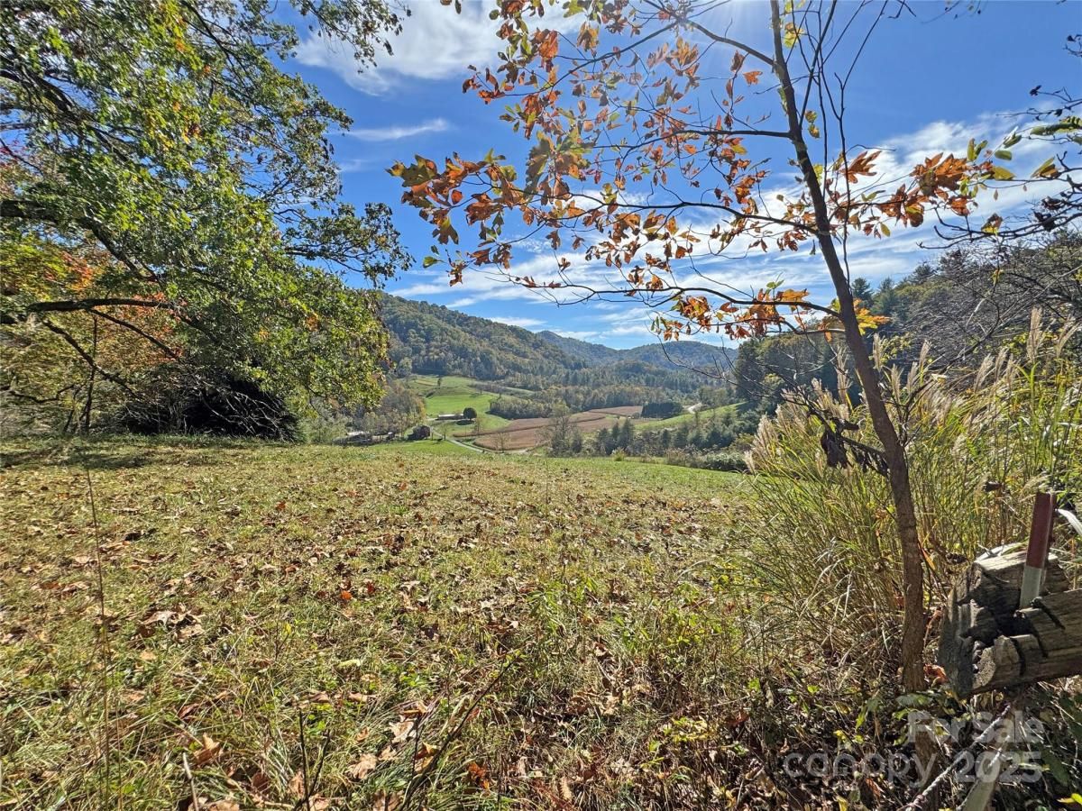 MLS #CAR4320611 image #0