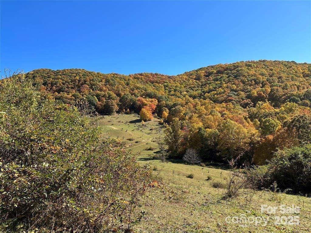 MLS #CAR4321420 image #0