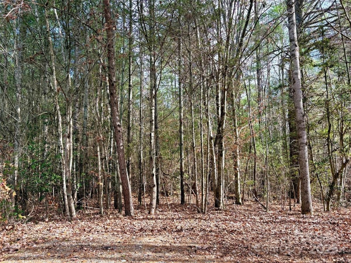 MLS #CAR4321541 image #0