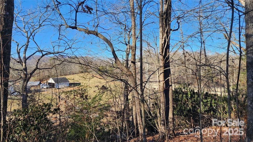 MLS #CAR4321914 image #0