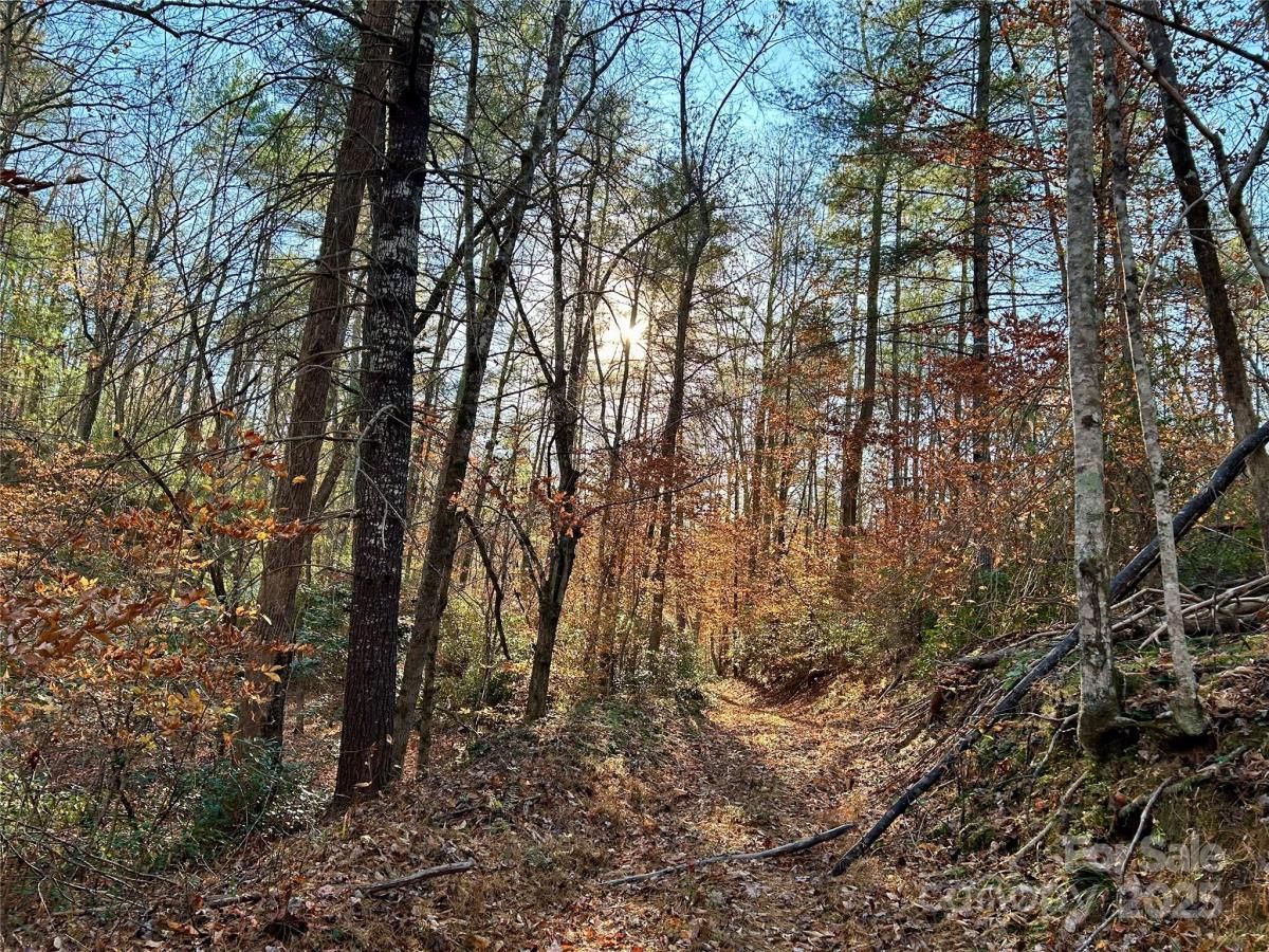 MLS #CAR4322658 image #0