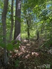 MLS #CAR4322938 image #0