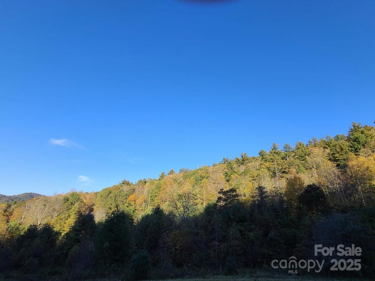 MLS #CAR4323007 image #0