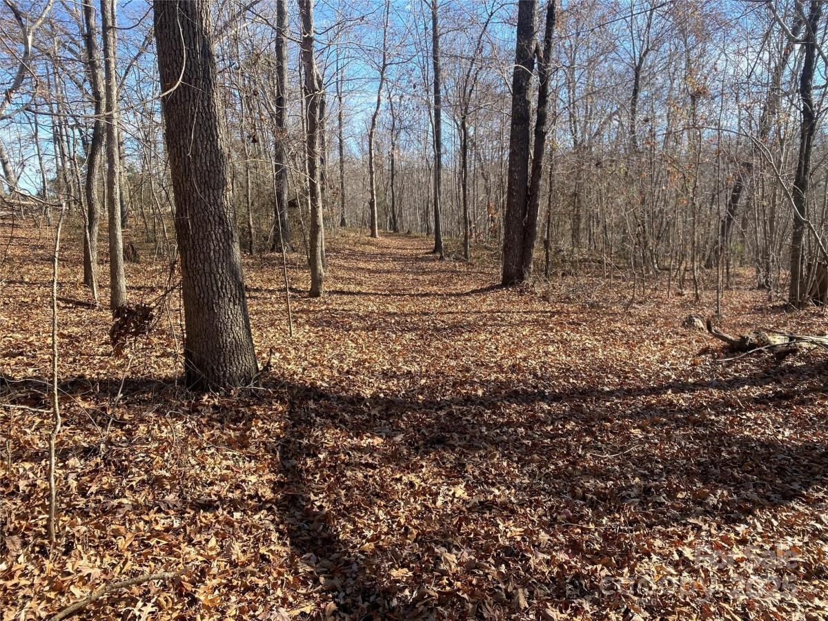 MLS #CAR4323067 image #0