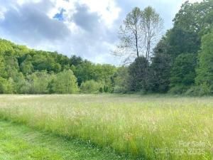 MLS #CAR4324596 image #0