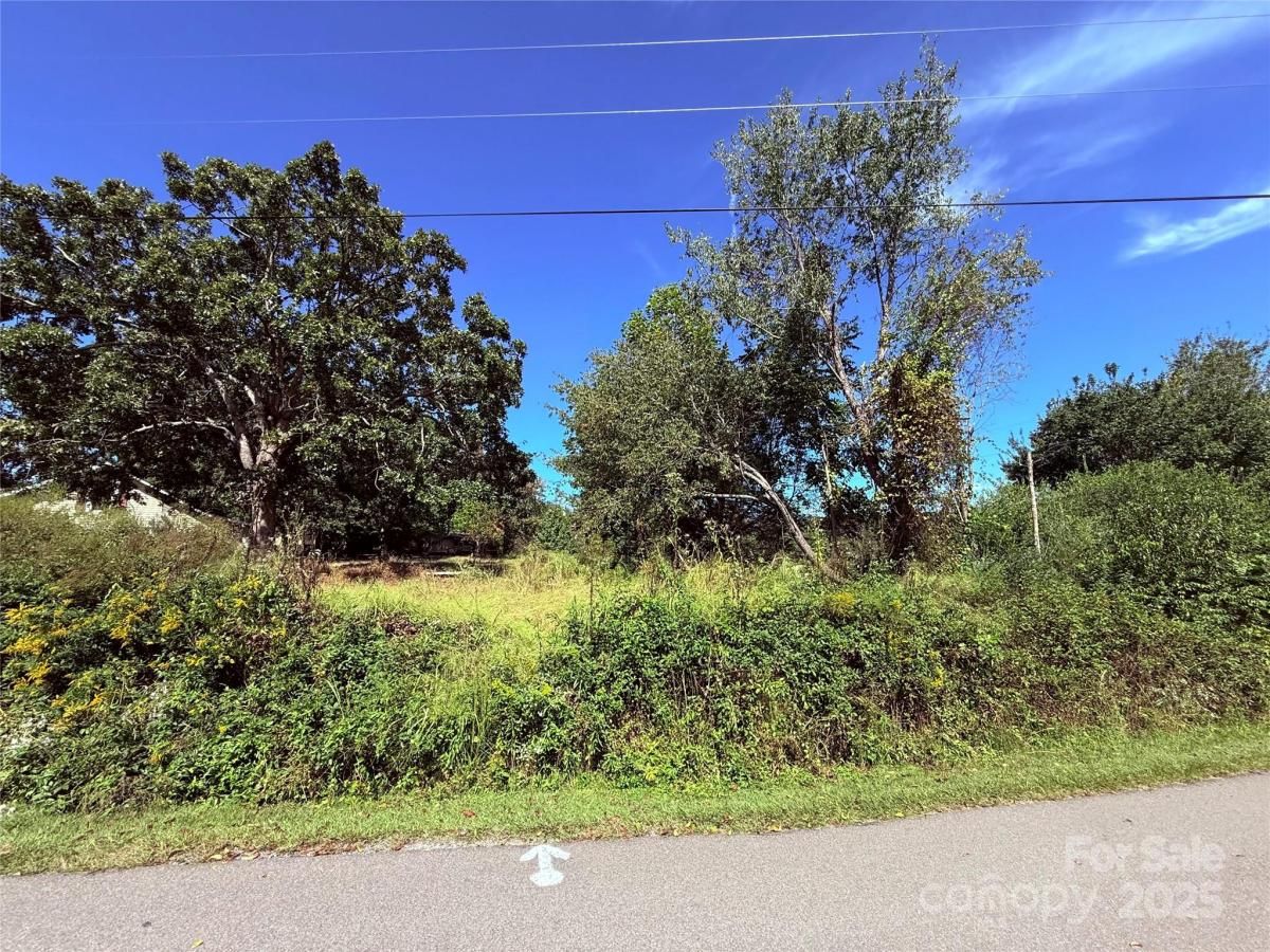 MLS #CAR4324699 image #0