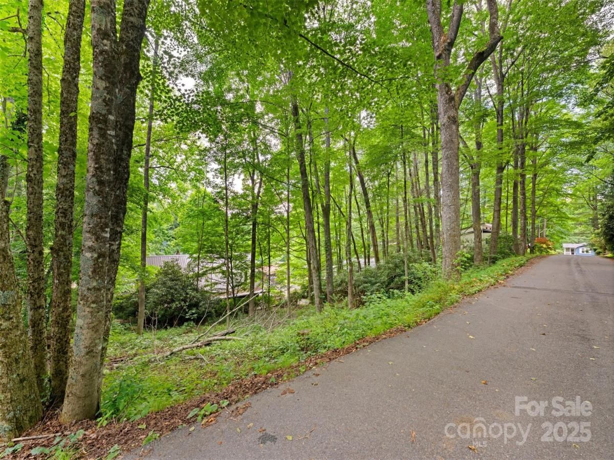 MLS #CAR4324750 image #0