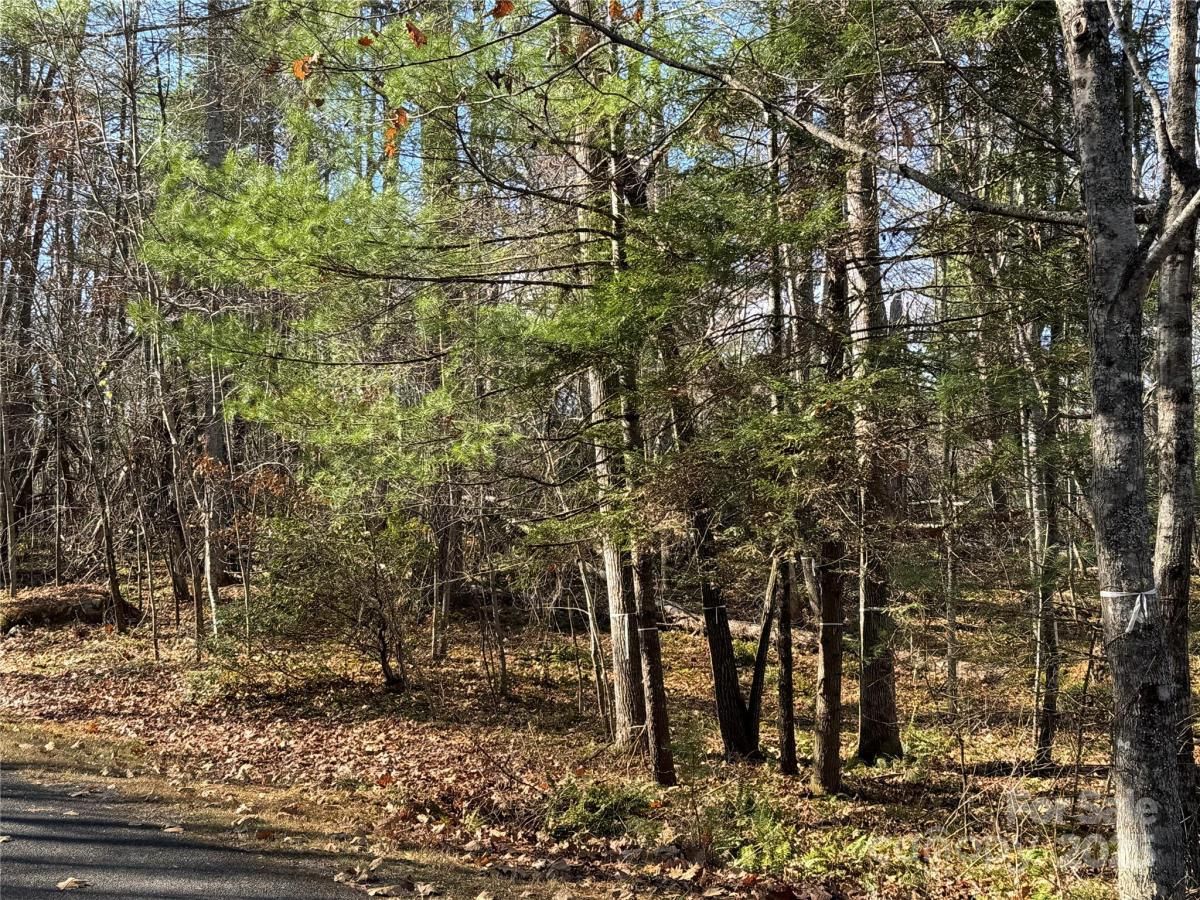 MLS #CAR4325000 image #0